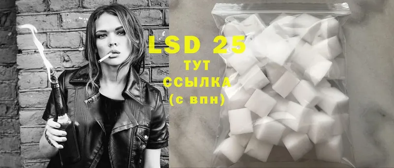 kraken зеркало  Майкоп  LSD-25 экстази кислота 